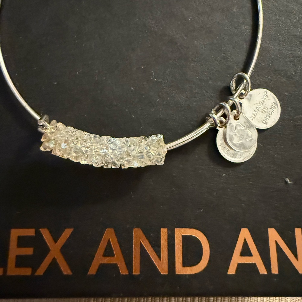 ⭐️ Alex and Ani: Silver Charm Bangle - Picture 2 of 2